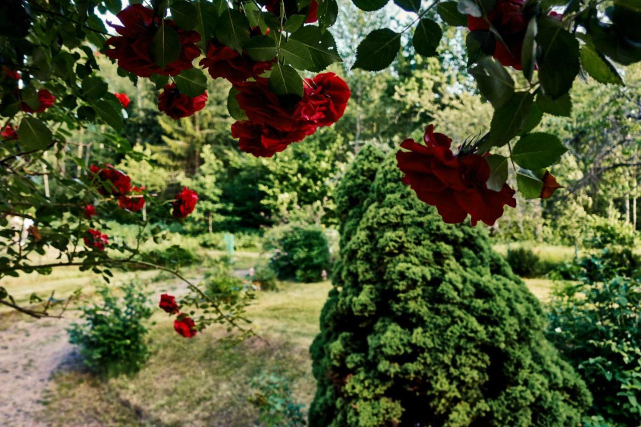 Red Haven Cottage Edsbruk Dış mekan fotoğraf